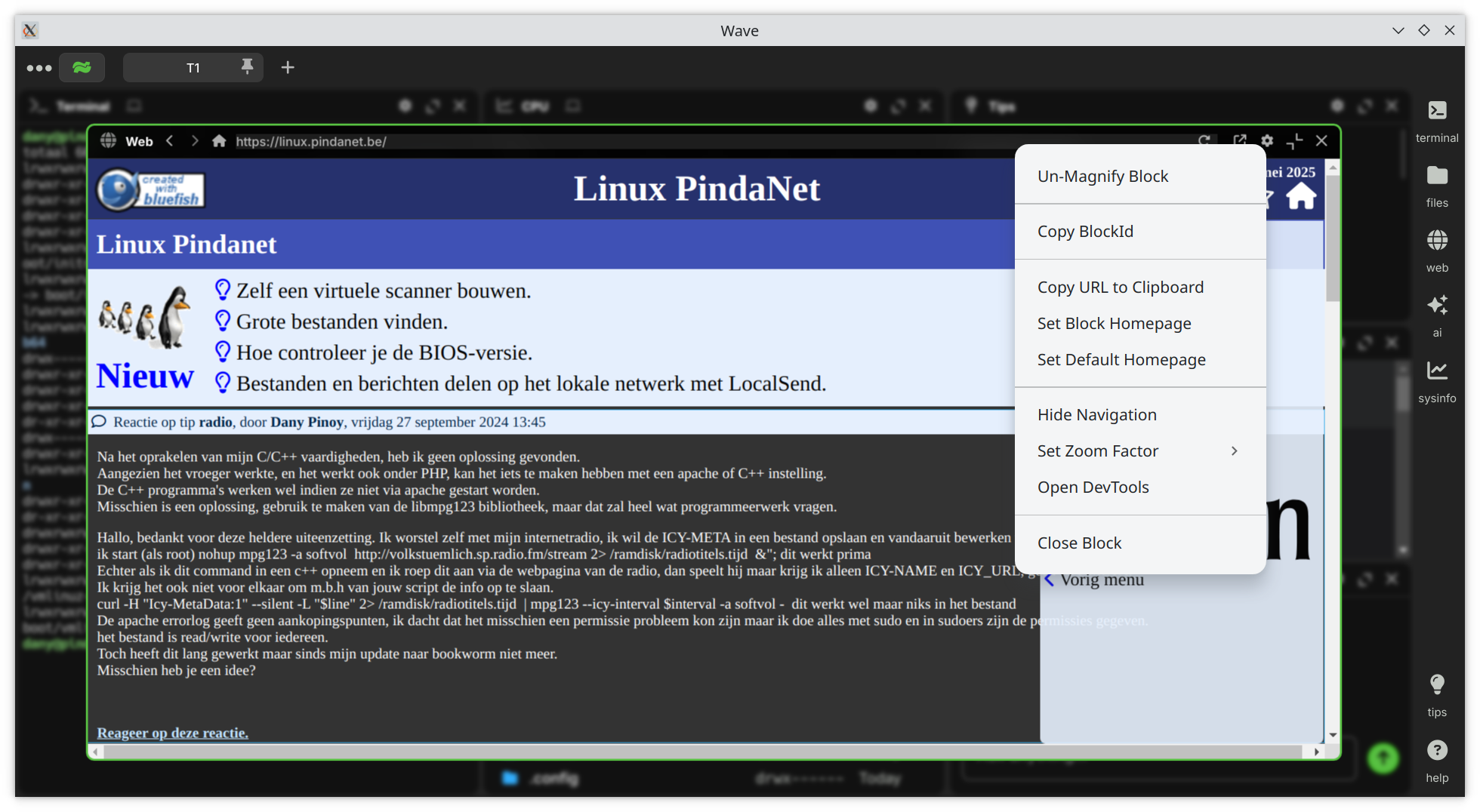 Wave Terminal web